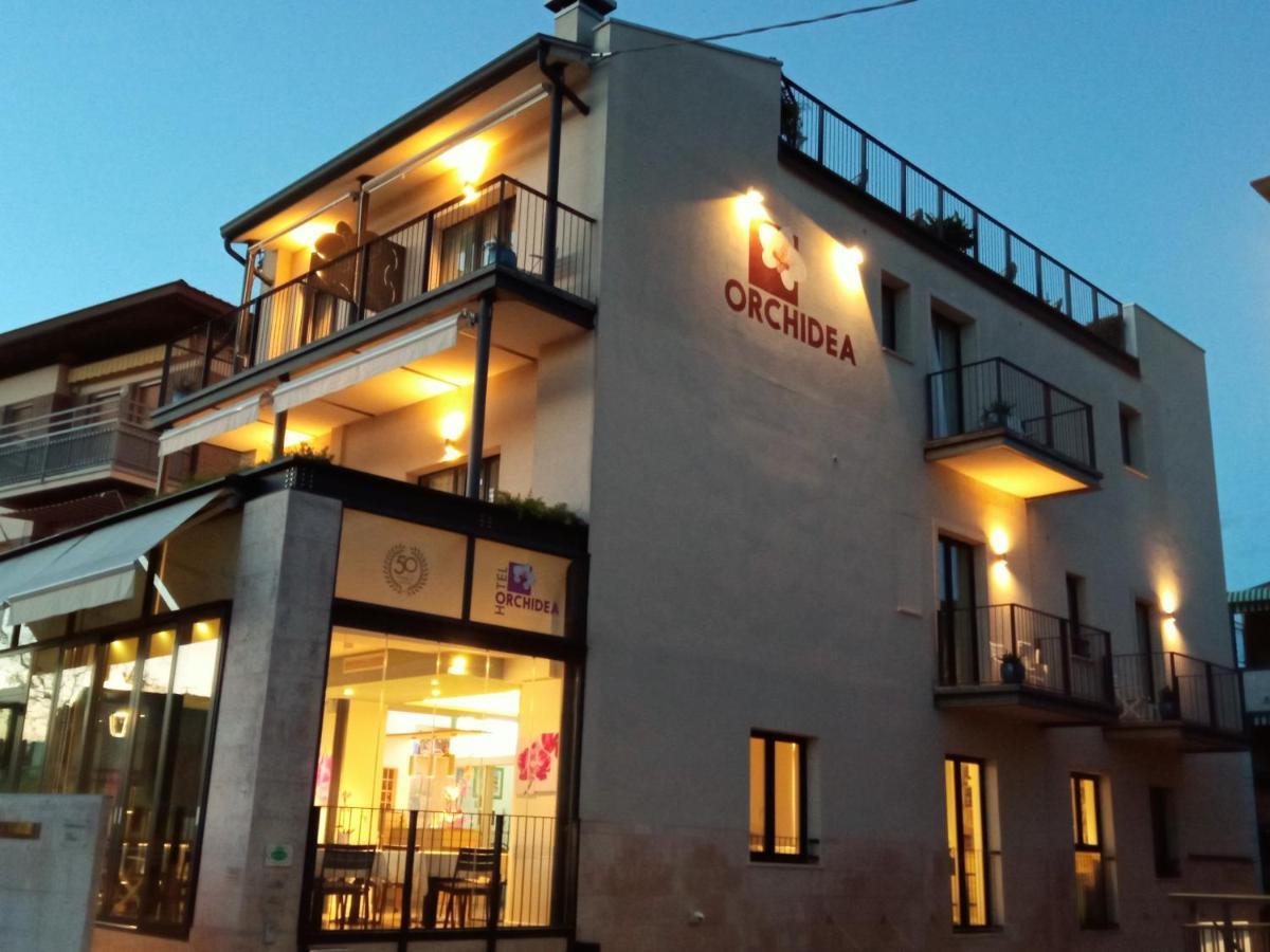 Hotel Orchidea Μπαρντολίνο Εξωτερικό φωτογραφία